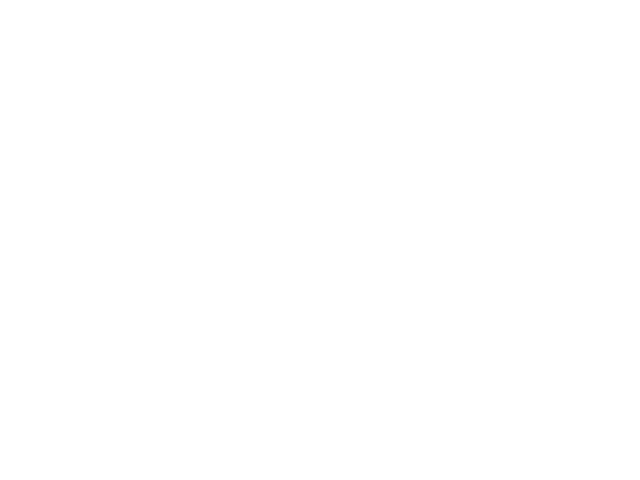 rotarally